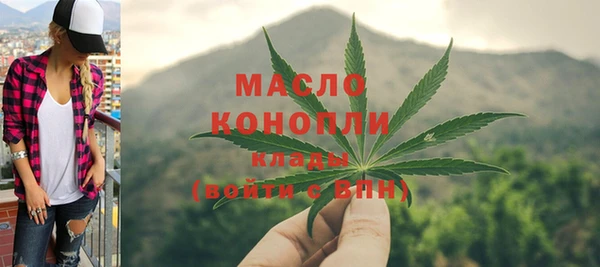 дживик Новодвинск
