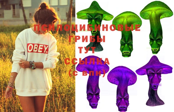 дживик Новодвинск