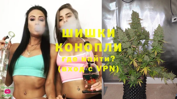 дживик Новодвинск