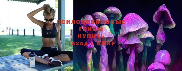 дживик Новодвинск